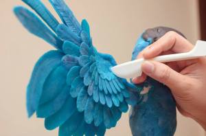 1006202_10151454913770796_925057737_n