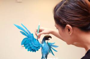 580494_10151454913950796_1823817608_n